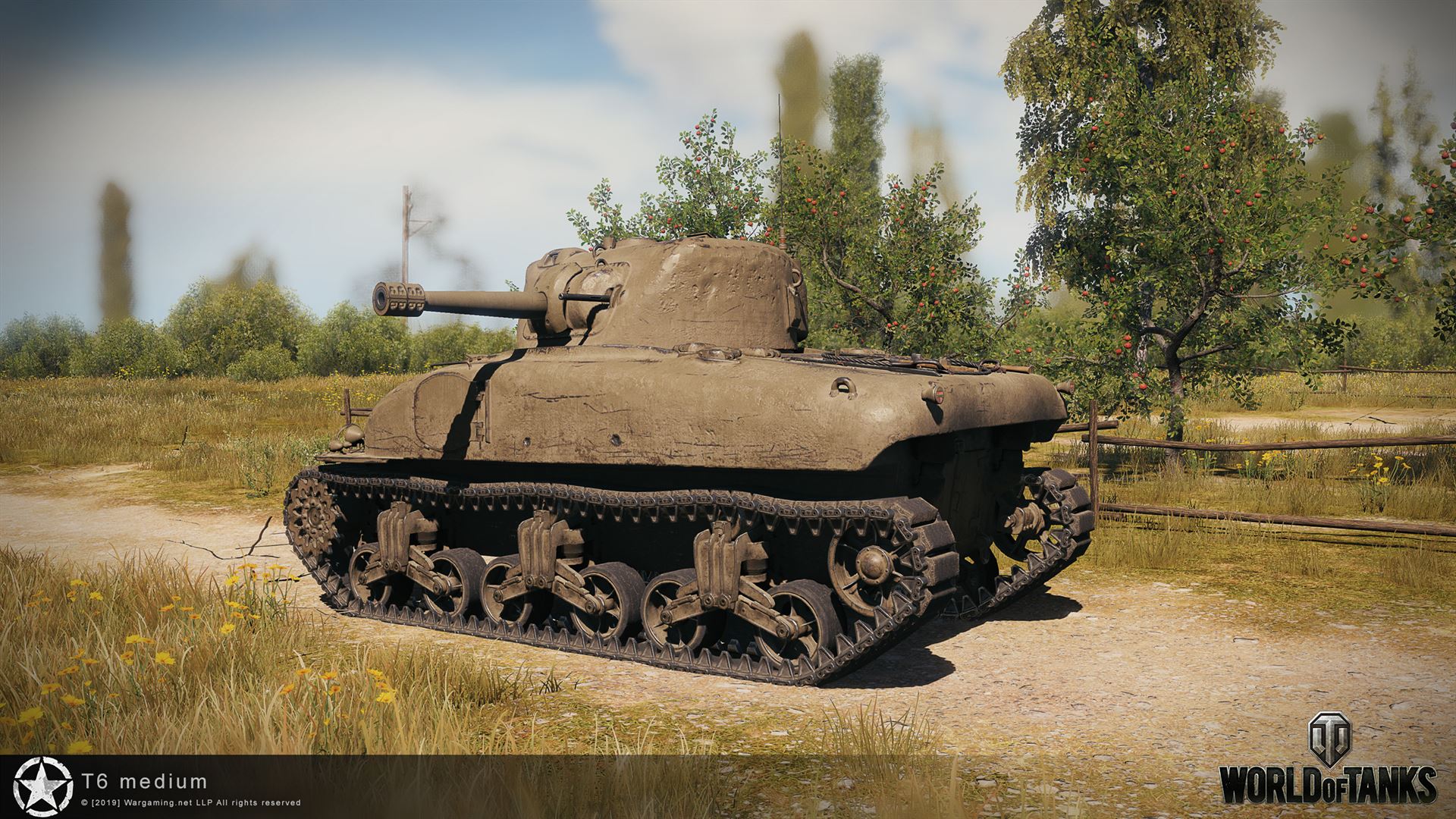 T6 Medium 3
