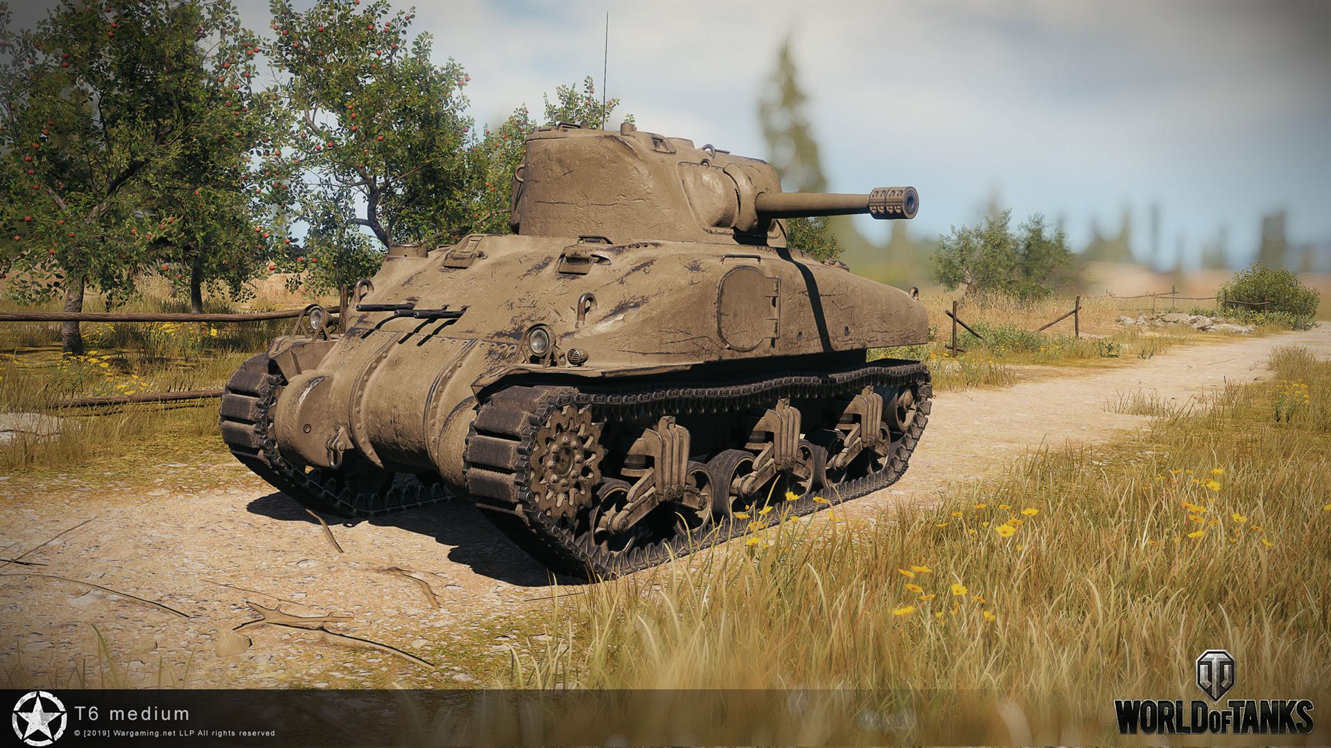 T6 Medium 4