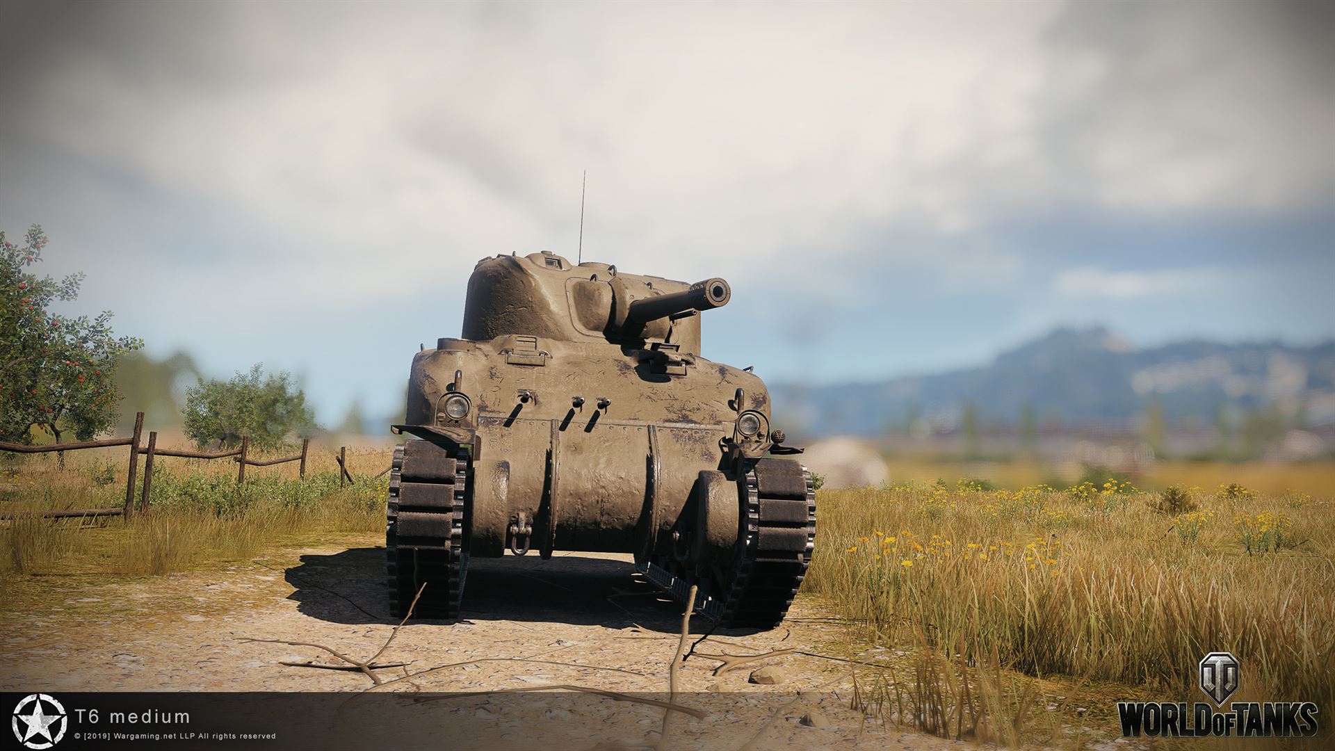 T6 Medium 5
