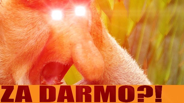 ZADARMOKURLA